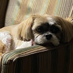 Meet your Posher, Beth